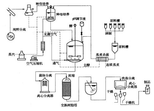 生物發酵罐工藝流程圖